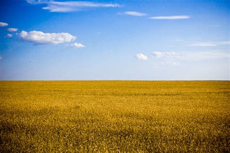 Ukraine. Flag colors | This photo taken on road. It is pure … | Flickr