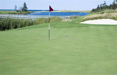 Golf Green and Flag stock photo. Image of canada, activity - 11113252