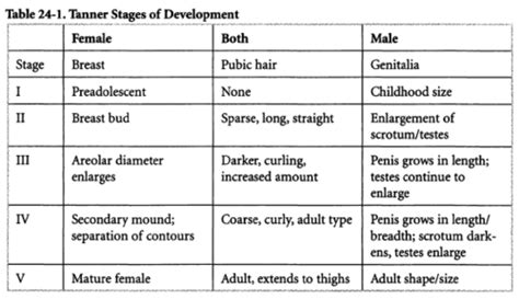 Breast Development Stages Ages