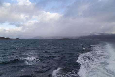 Beagle Channel Cruise (Part 2) | neOnbubble