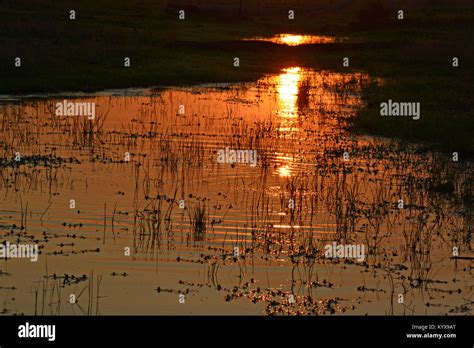 AUSTRALIAN OUTBACK SUNSET Stock Photo - Alamy