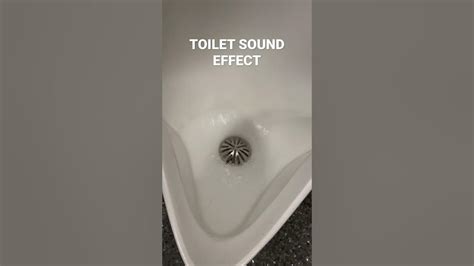 Toilet sound Effect - YouTube