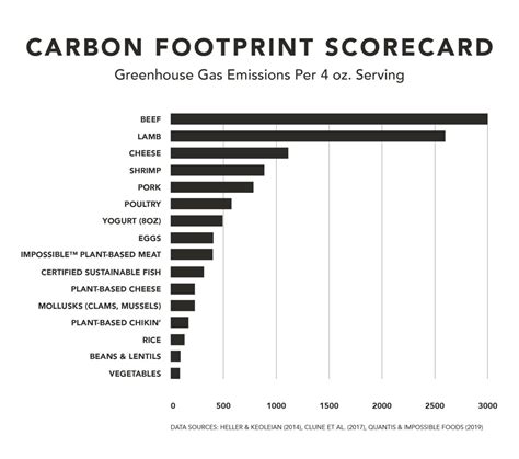 Environmental Impact of Meat & Sustainable Methods