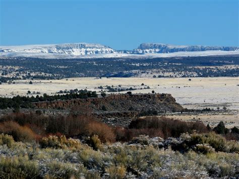 Malheur National Wildlife Refuge - Nature & Wildlife Photography