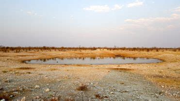 257. Etosha National Park, Namibia - Unfamiliar Destinations