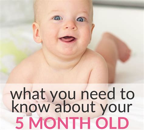 All About 5-Month-Old Baby Development Milestones, Fun Activities, Toy Tips