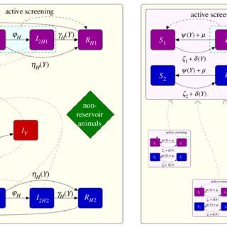 Model diagrams for the two gHAT models. (a) The full higher-dimensional... | Download Scientific ...