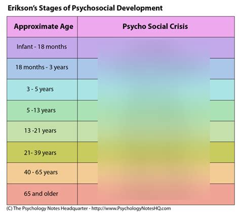 Erik Erikson's Stages of Psychosocial Development Diagram | Quizlet