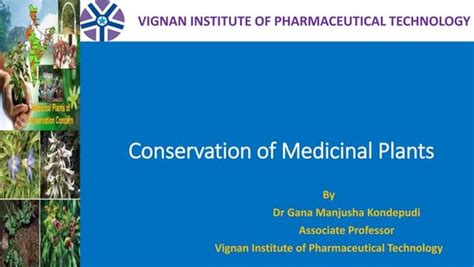 CONSERVATION OF MEDICINAL PLANTS | PPT