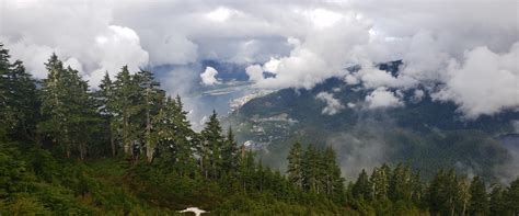 Deer Mountain Trail in Ketchikan, Alaska : r/hiking