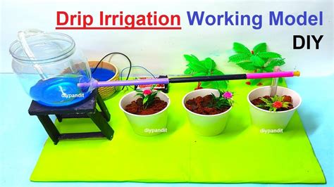 drip irrigation working model for science exhibition - science project - diy - simple | DIY ...