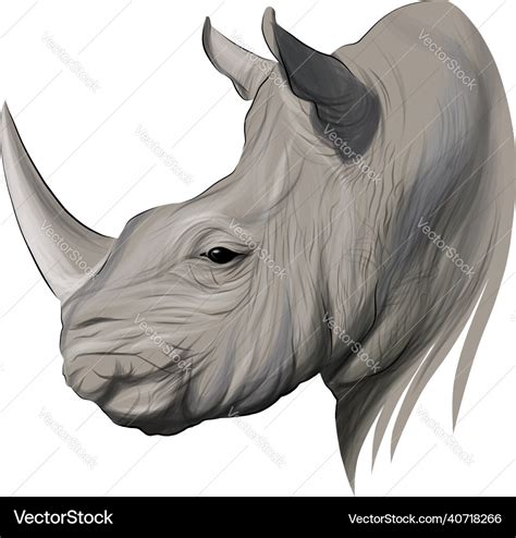 Rhino head portrait rhinoceros color drawing Vector Image