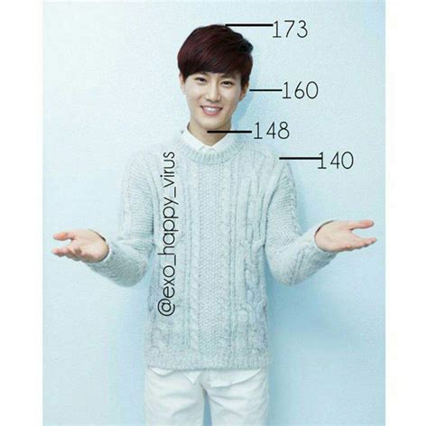 Your height compared to EXO | K-Pop Amino