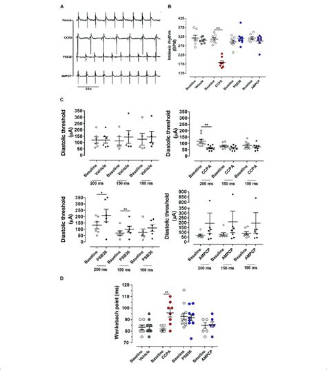 | Chronotropic and dromotropic effects in rat hearts. (A) ECG lead II... | Download Scientific ...