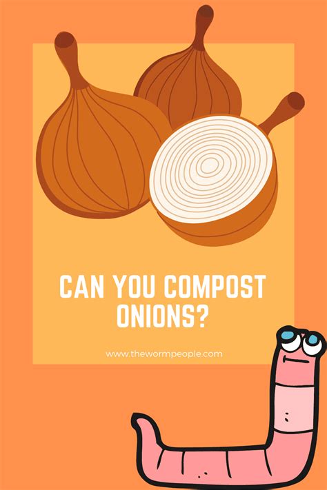 Can You Compost Onions? - TheWormPeople