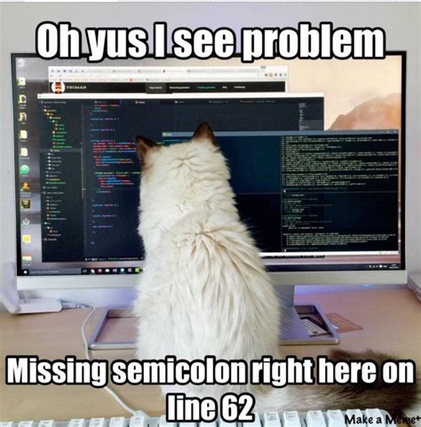 Programming Memes – beanz Magazine