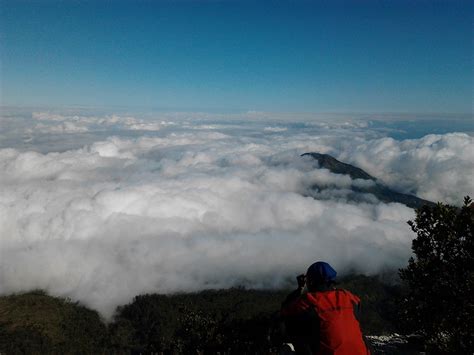 Pesona Gunung Lawu dan Jalur Pendakiannya