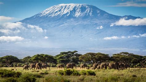 Kilimanjaro National Park - Tanzania Safari