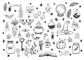 Witch Vector Art, Icons, and Graphics for Free Download