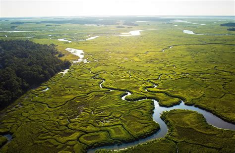 Exploring New Places: South Carolina's Salt Marshes and Tidal Creeks