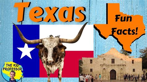 Texas Fun Facts | Geography Series on the States - YouTube