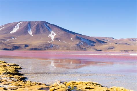 Laguna Colorada View, Bolivia Stock Image - Image of bolivian, background: 135801211