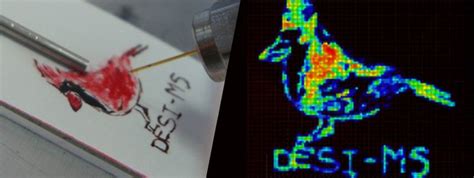 Mass spectrometry imaging - Alchetron, the free social encyclopedia