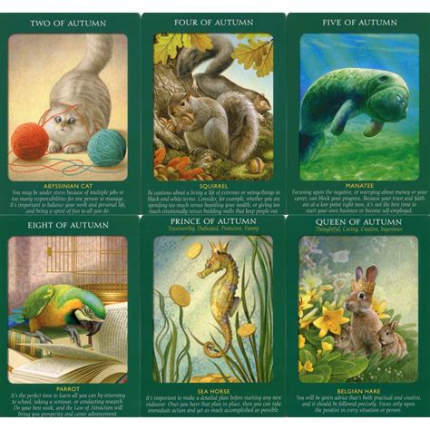 Animal Tarot Cards - LT Tarot