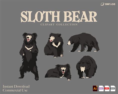 Albino Sloth Bear