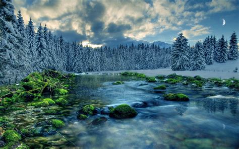 moss, Stream, Sky, River, Snow, Forest, Clouds, Rocks, Trees