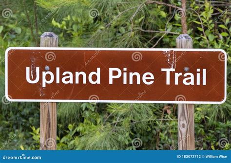 Hiking Directional Sign Upland Pine Trail in Stephen C Foster State ...