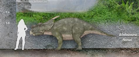 Achelousaurus by SameerPrehistorica on DeviantArt