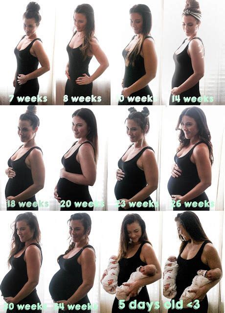 Twin pregnancy pictures - month by month. How to create silhouette ...