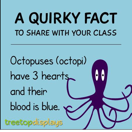 10 Facts About Octopus