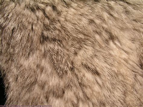 vormleer - rabbit fur | Material Madness - Structures | Pinterest | Rabbit fur