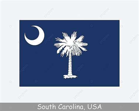 South Carolina Usa State Flag Graphic Design Flat Vector, Graphic ...