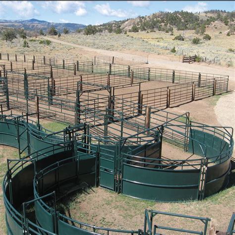 Corral & Handling System Design Guide | Hi-Hog | Cattle corrals, Cattle ...