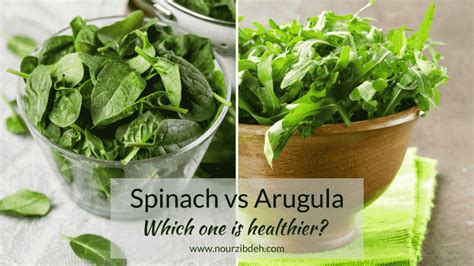 Spinach vs Arugula - Which one is truly better for you?