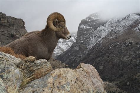 Caribou-Targhee National Forest - Idaho.com