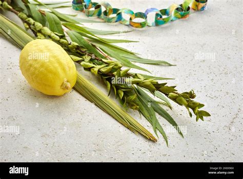 Jewish festival of Sukkot. Traditional symbols Etrog and lulav - citrus and palm Stock Photo - Alamy