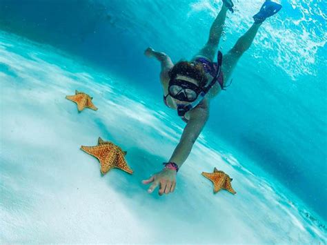 Cozumel Tours | El cielo Tour from Cancun and Riviera Maya