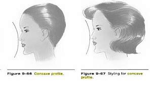 Concave vs. Convex Profile (updated) | expressing your truth blog