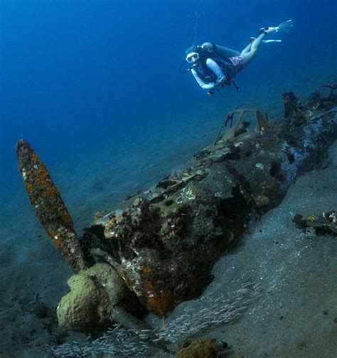 Uncover WWII History: Diving & Exploring the Solomon Islands