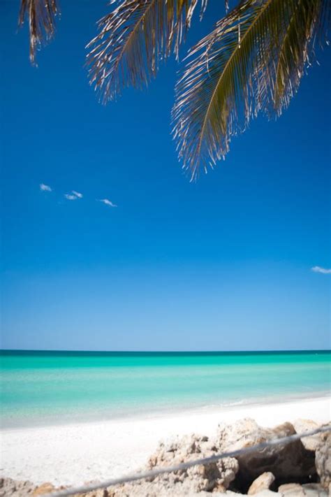 Coquina Beach | Florida beaches vacation, Beautiful islands, Anna maria ...