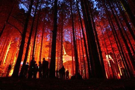 Sherwood Forest art director explains how to blow minds in Electric Forest's coolest setting ...