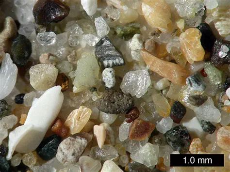 Sand under a Microscope