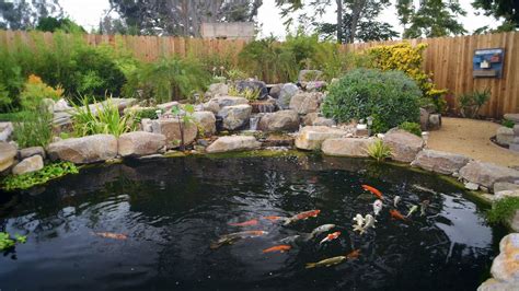 How To Start A Koi Pond - Birthrepresentative14