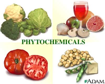 Phytochemicals in Foods: Phytochemicals In Foods - Health Benefits