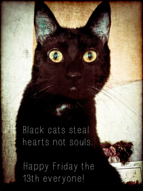 Dallas Photoworks | Happy friday the 13th, Black cat, Friday the 13th