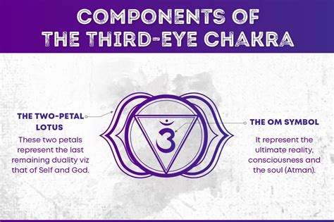 The Third Eye Chakra Symbol is a two petaled purple lotus with a ...